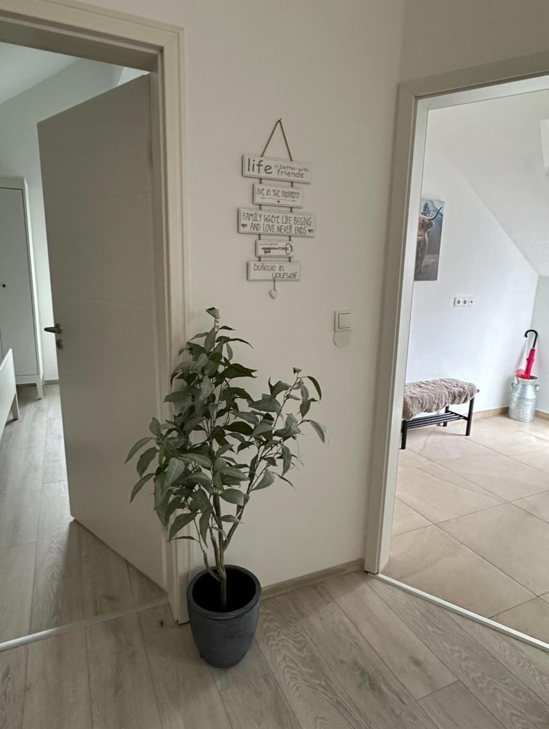 Apartment In *